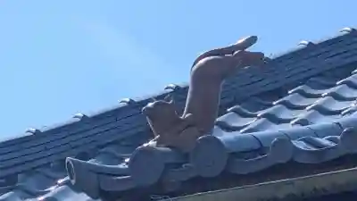 稲荷神社の{uncategorized: "未分類", other: "その他", undefined: "問題あり", building: "その他建物", grave: "お墓", sacred_gate: "鳥居", guardian: "狛犬", statue: "像", buddha: "仏像", history: "歴史", nature: "自然", garden: "庭園", animal: "動物", pagoda: "塔", temizu: "手水舎", mountain_gate: "山門・神門", sanctuary: "本殿・本堂", subordinate: "末社・摂社", art: "芸術", scenery: "景色", jizo: "地蔵", ema: "絵馬", goshuin: "御朱印", omikuji: "おみくじ", items: "授与品その他", amulet: "お守り", goshuincho: "御朱印帳", eats: "食事", festival: "お祭り", votive_dance: "神楽", shichigosan: "七五三参", wedding: "結婚式", experience: "体験その他", initially: "初詣", around: "周辺", anti_infection: "感染症対策"}