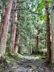 小菅神社奥社の周辺