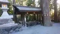 椿大神社の手水舎