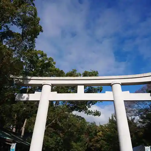 日前神宮・國懸神宮の鳥居