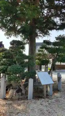 長福寺の{uncategorized: "未分類", other: "その他", undefined: "問題あり", building: "その他建物", grave: "お墓", sacred_gate: "鳥居", guardian: "狛犬", statue: "像", buddha: "仏像", history: "歴史", nature: "自然", garden: "庭園", animal: "動物", pagoda: "塔", temizu: "手水舎", mountain_gate: "山門・神門", sanctuary: "本殿・本堂", subordinate: "末社・摂社", art: "芸術", scenery: "景色", jizo: "地蔵", ema: "絵馬", goshuin: "御朱印", omikuji: "おみくじ", items: "授与品その他", amulet: "お守り", goshuincho: "御朱印帳", eats: "食事", festival: "お祭り", votive_dance: "神楽", shichigosan: "七五三参", wedding: "結婚式", experience: "体験その他", initially: "初詣", around: "周辺", anti_infection: "感染症対策"}