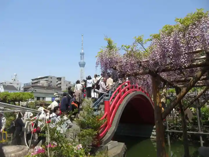 亀戸天神社の庭園