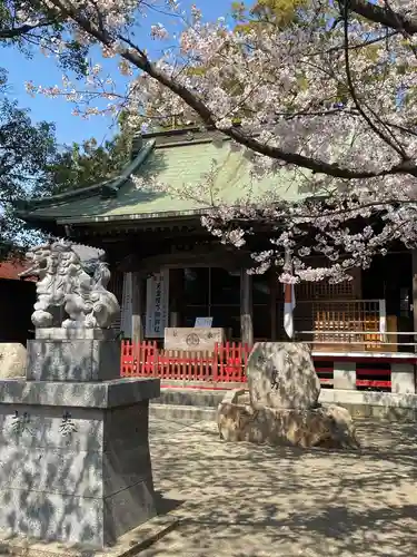 芳川神社の狛犬