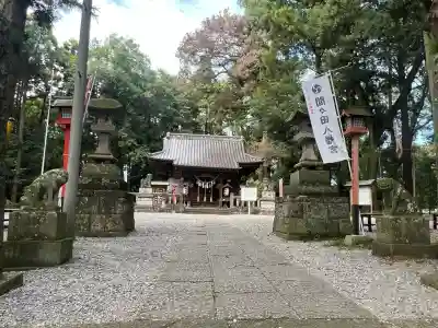 間々田八幡宮の本殿・本堂
