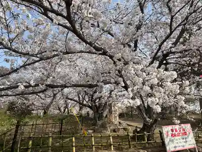 國鉾神社(岡山県)