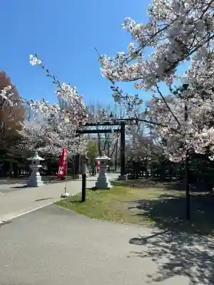 烈々布神社の{uncategorized: "未分類", other: "その他", undefined: "問題あり", building: "その他建物", grave: "お墓", sacred_gate: "鳥居", guardian: "狛犬", statue: "像", buddha: "仏像", history: "歴史", nature: "自然", garden: "庭園", animal: "動物", pagoda: "塔", temizu: "手水舎", mountain_gate: "山門・神門", sanctuary: "本殿・本堂", subordinate: "末社・摂社", art: "芸術", scenery: "景色", jizo: "地蔵", ema: "絵馬", goshuin: "御朱印", omikuji: "おみくじ", items: "授与品その他", amulet: "お守り", goshuincho: "御朱印帳", eats: "食事", festival: "お祭り", votive_dance: "神楽", shichigosan: "七五三参", wedding: "結婚式", experience: "体験その他", initially: "初詣", around: "周辺", anti_infection: "感染症対策"}