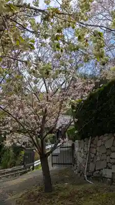 圓光寺(京都府)