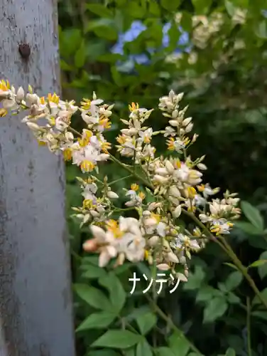 正一位三光稲荷大明神(神奈川県)