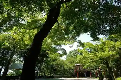 若山神社のその他建物