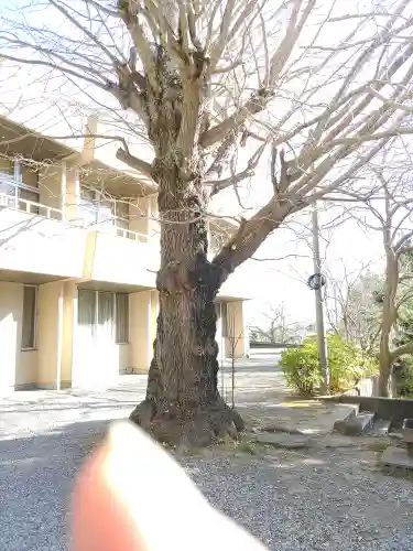高家神社(千葉県)