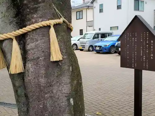 徳井神社のその他建物