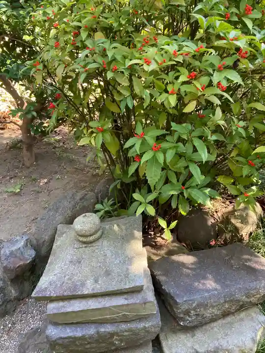 円蔵寺(神奈川県)