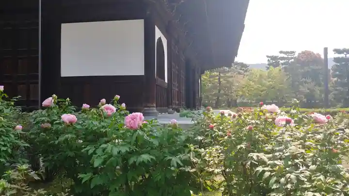 建仁寺(建仁禅寺)の本殿・本堂