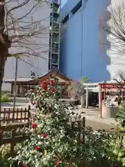 成子天神社の建物その他