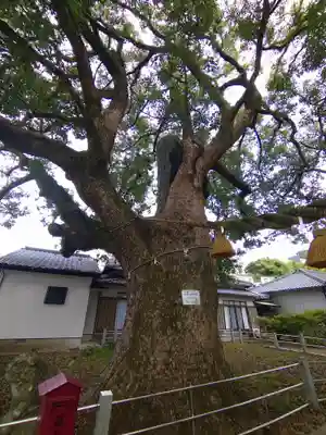 山王神社(長崎県)