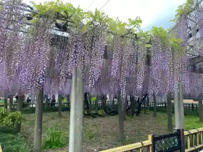 妙福寺の{uncategorized: "未分類", other: "その他", undefined: "問題あり", building: "その他建物", grave: "お墓", sacred_gate: "鳥居", guardian: "狛犬", statue: "像", buddha: "仏像", history: "歴史", nature: "自然", garden: "庭園", animal: "動物", pagoda: "塔", temizu: "手水舎", mountain_gate: "山門・神門", sanctuary: "本殿・本堂", subordinate: "末社・摂社", art: "芸術", scenery: "景色", jizo: "地蔵", ema: "絵馬", goshuin: "御朱印", omikuji: "おみくじ", items: "授与品その他", amulet: "お守り", goshuincho: "御朱印帳", eats: "食事", festival: "お祭り", votive_dance: "神楽", shichigosan: "七五三参", wedding: "結婚式", experience: "体験その他", initially: "初詣", around: "周辺", anti_infection: "感染症対策"}