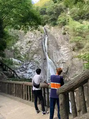 不動尊(布引の滝)の自然