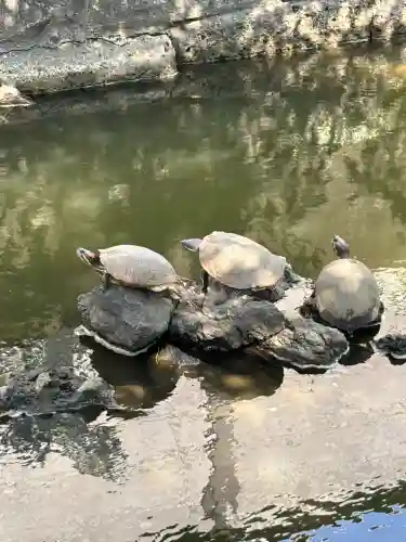 磐井神社(東京都)