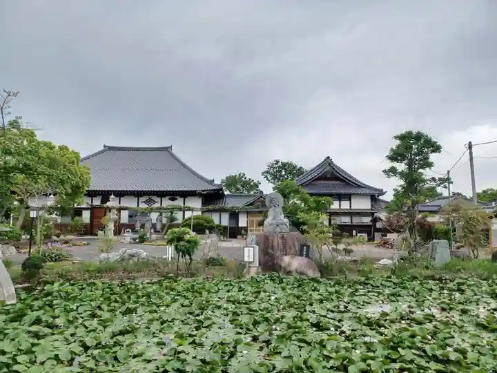 善長寺(埼玉県)