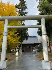 大宮神社の鳥居