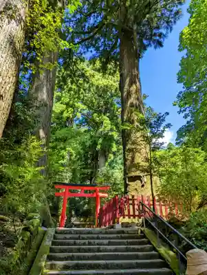 箱根神社の鳥居