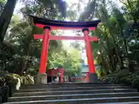 宇佐神宮の鳥居