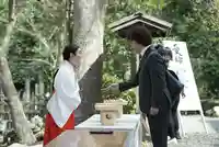 木嶋坐天照御魂神社(京都府)