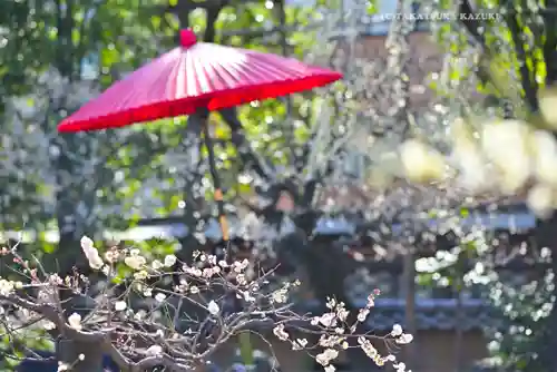 湯島天満宮(東京都)