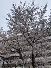 思金神社の自然