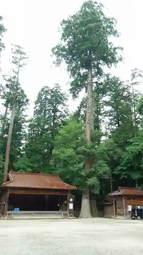 伊和神社のその他建物