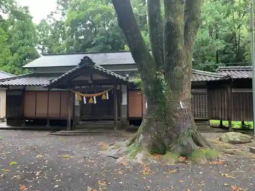大草神社の本殿・本堂