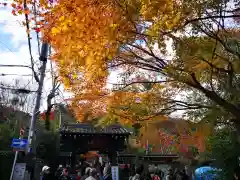 常寂光寺の建物その他