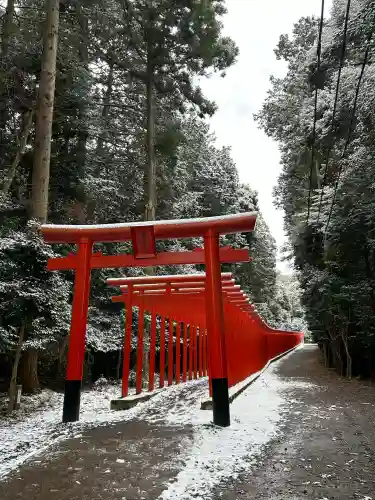 美濃國一宮　南宮大社の{uncategorized: "未分類", other: "その他", undefined: "問題あり", building: "その他建物", grave: "お墓", sacred_gate: "鳥居", guardian: "狛犬", statue: "像", buddha: "仏像", history: "歴史", nature: "自然", garden: "庭園", animal: "動物", pagoda: "塔", temizu: "手水舎", mountain_gate: "山門・神門", sanctuary: "本殿・本堂", subordinate: "末社・摂社", art: "芸術", scenery: "景色", jizo: "地蔵", ema: "絵馬", goshuin: "御朱印", omikuji: "おみくじ", items: "授与品その他", amulet: "お守り", goshuincho: "御朱印帳", eats: "食事", festival: "お祭り", votive_dance: "神楽", shichigosan: "七五三参", wedding: "結婚式", experience: "体験その他", initially: "初詣", around: "周辺", anti_infection: "感染症対策"}