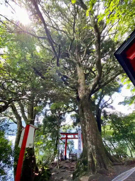九頭龍神社本宮(神奈川県)