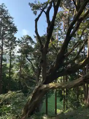 神社（名称不明）の自然