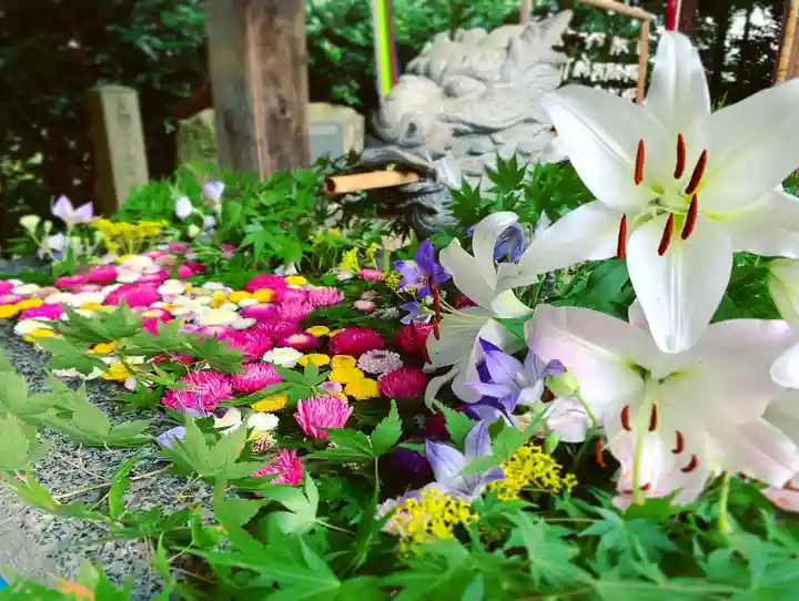 滑川神社 - 仕事と子どもの守り神の手水舎
