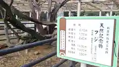 熊野神社の建物その他