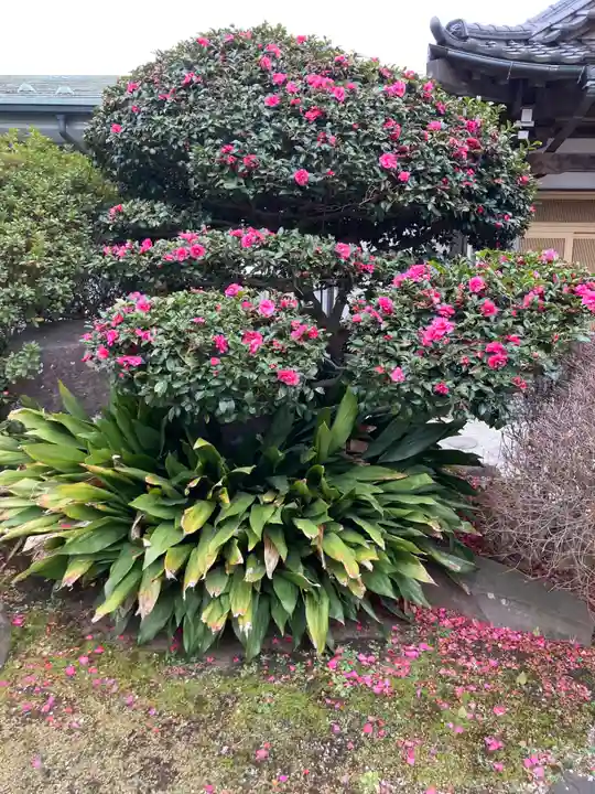 星谷寺(神奈川県)