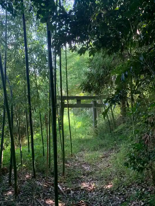 熊野大権現(千葉県)