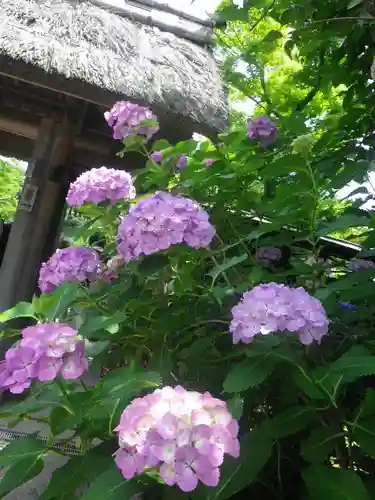 東慶寺の庭園