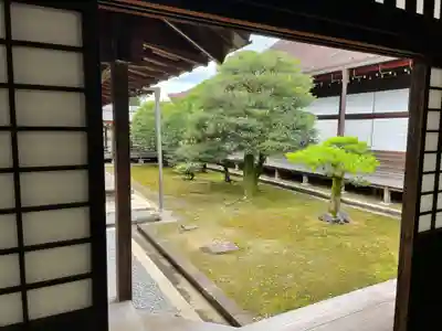 妙心寺（妙心禅寺）(京都府)