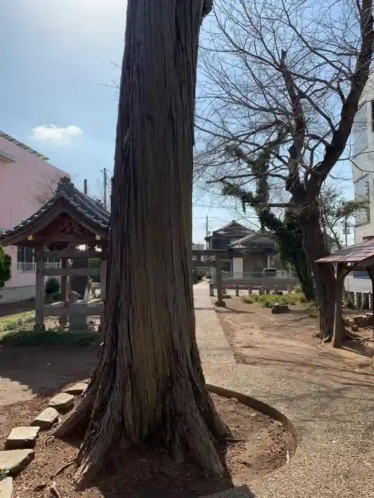子安神社(千葉県)