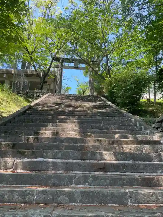 淵神社の{uncategorized: "未分類", other: "その他", undefined: "問題あり", building: "その他建物", grave: "お墓", sacred_gate: "鳥居", guardian: "狛犬", statue: "像", buddha: "仏像", history: "歴史", nature: "自然", garden: "庭園", animal: "動物", pagoda: "塔", temizu: "手水舎", mountain_gate: "山門・神門", sanctuary: "本殿・本堂", subordinate: "末社・摂社", art: "芸術", scenery: "景色", jizo: "地蔵", ema: "絵馬", goshuin: "御朱印", omikuji: "おみくじ", items: "授与品その他", amulet: "お守り", goshuincho: "御朱印帳", eats: "食事", festival: "お祭り", votive_dance: "神楽", shichigosan: "七五三参", wedding: "結婚式", experience: "体験その他", initially: "初詣", around: "周辺", anti_infection: "感染症対策"}