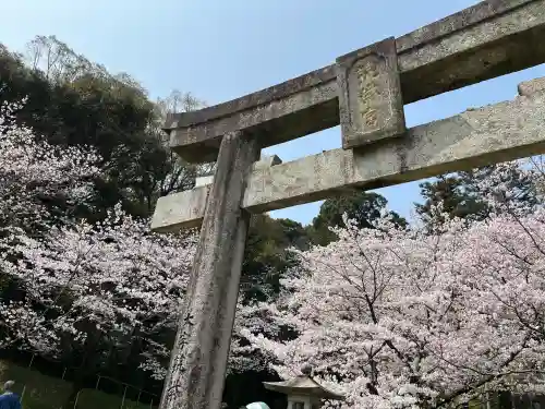 筑紫神社の{uncategorized: "未分類", other: "その他", undefined: "問題あり", building: "その他建物", grave: "お墓", sacred_gate: "鳥居", guardian: "狛犬", statue: "像", buddha: "仏像", history: "歴史", nature: "自然", garden: "庭園", animal: "動物", pagoda: "塔", temizu: "手水舎", mountain_gate: "山門・神門", sanctuary: "本殿・本堂", subordinate: "末社・摂社", art: "芸術", scenery: "景色", jizo: "地蔵", ema: "絵馬", goshuin: "御朱印", omikuji: "おみくじ", items: "授与品その他", amulet: "お守り", goshuincho: "御朱印帳", eats: "食事", festival: "お祭り", votive_dance: "神楽", shichigosan: "七五三参", wedding: "結婚式", experience: "体験その他", initially: "初詣", around: "周辺", anti_infection: "感染症対策"}