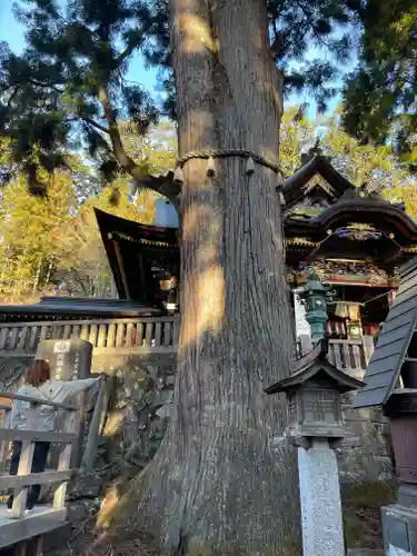 三峯神社(埼玉県)