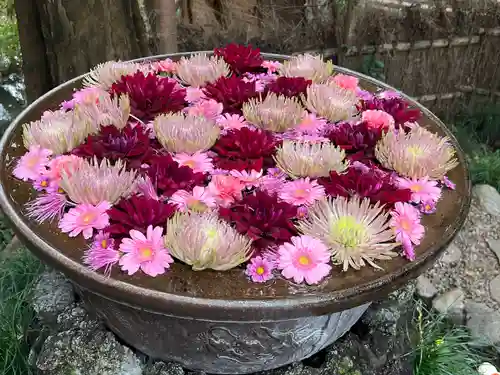 武蔵一宮氷川神社(埼玉県)