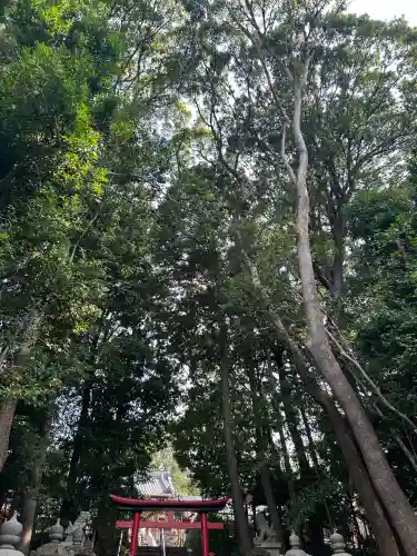 日吉神社（上社）(愛知県)