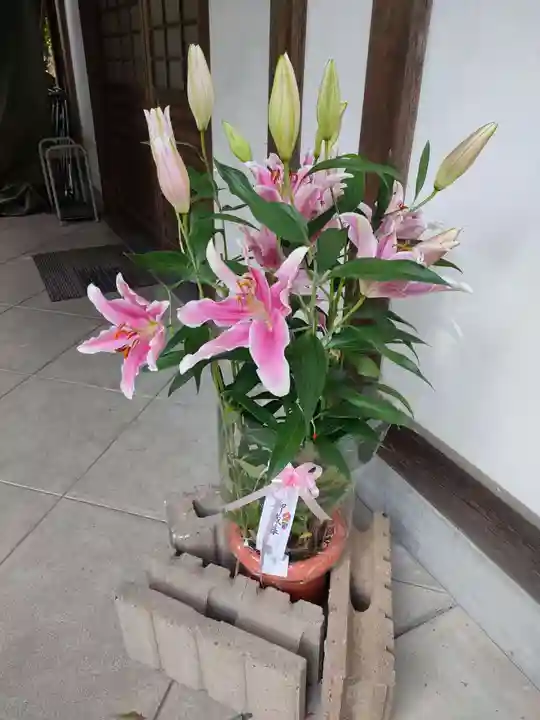 清洲山王宮 日吉神社の自然