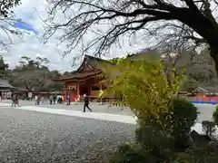 富士山本宮浅間大社(静岡県)