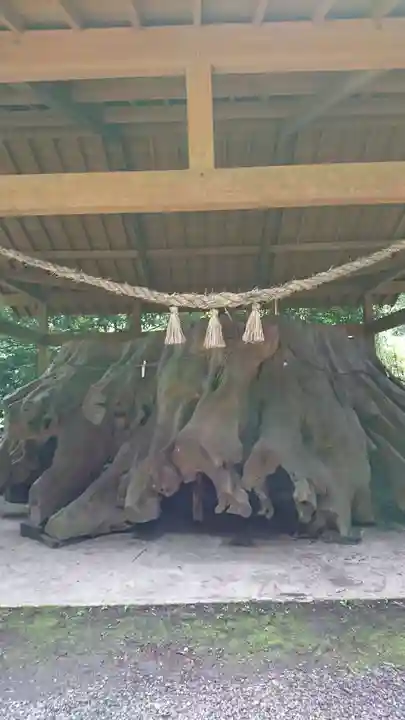 国造神社のその他建物